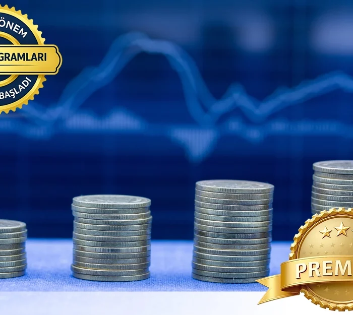 Uçtan Uca Finansal Raporlama ve Kapanış Eğitimi / FNTX-102