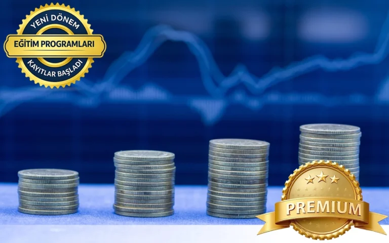 Uçtan Uca Finansal Raporlama ve Kapanış Eğitimi / FNTX-102